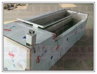 毛刷輥式核桃清洗機(jī)